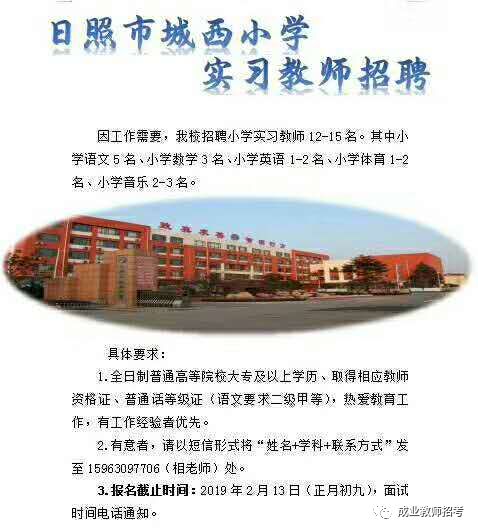 东港市小学最新招聘公告概览