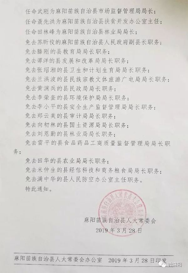 连山壮族瑶族自治县小学人事任命，新篇章开启，引领未来教育发展之路