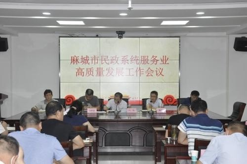 盐亭县民政局发展规划，构建和谐社会，提升民生福祉水平新篇章