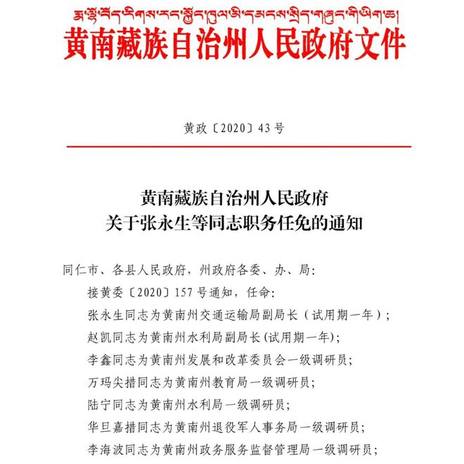 佳木斯市文化局人事任命，推动文化繁荣的关键举措