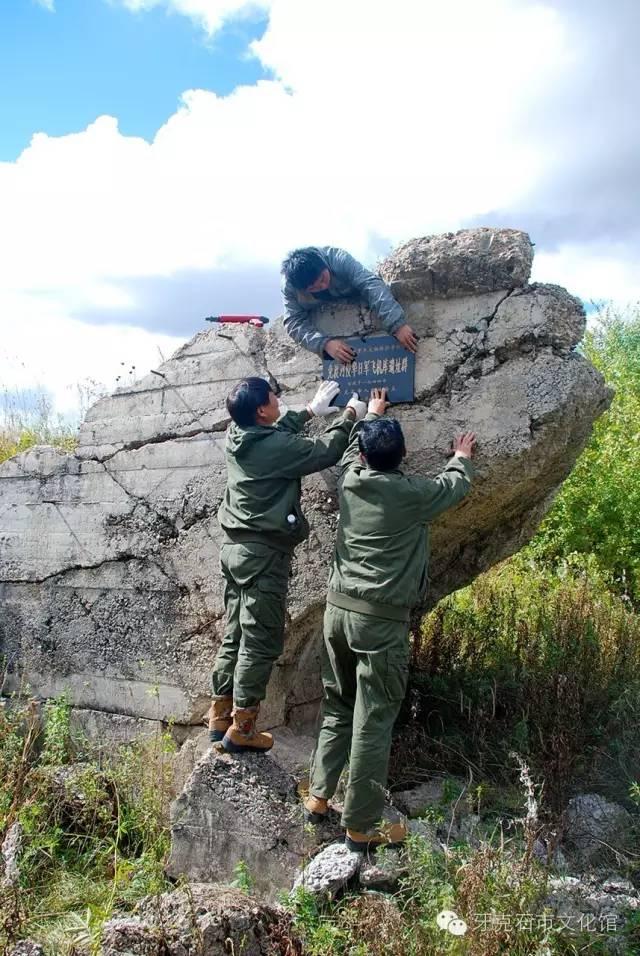 免渡河农场新项目引领农业现代化新篇章