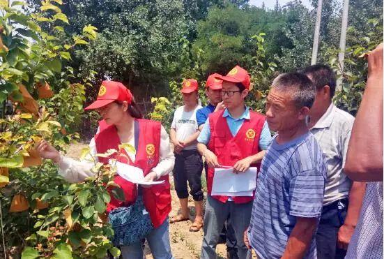 邯郸市林业局最新动态报道