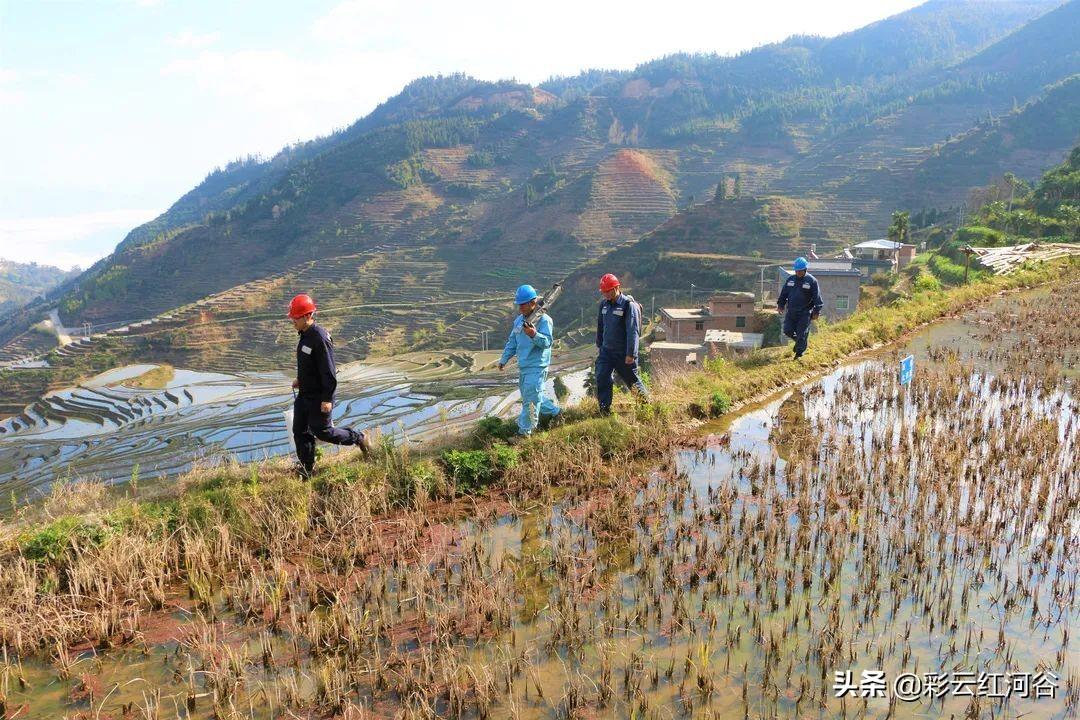 红河哈尼族彝族自治州供电局招聘信息与职业机会解析