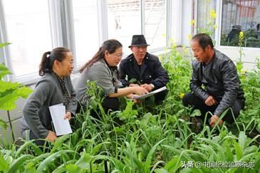 康保县市场监督管理局新项目推动市场监管现代化，助力地方经济飞跃发展