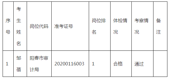 阳春市审计局招聘信息全解析及招聘细节探讨