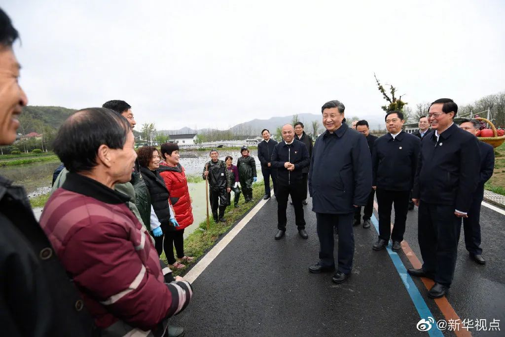 岘塬村委会乡村振兴与社区发展新篇章揭晓，最新动态引领未来发展方向