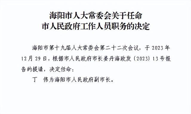 烟台市人事局最新人事任命，新一轮人才布局助力城市发展