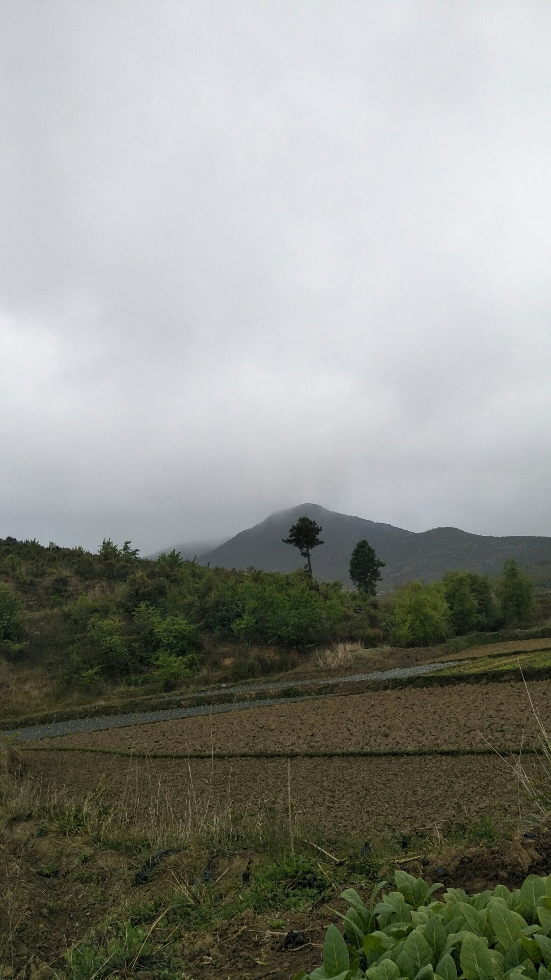 同太乡最新天气预报通知