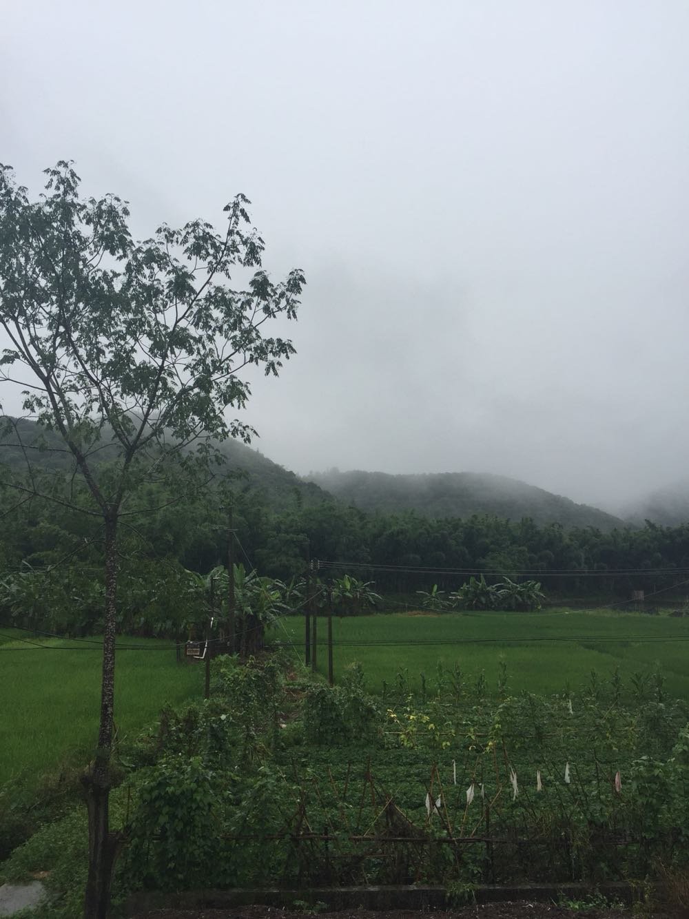 许巴村今日天气预报更新通知