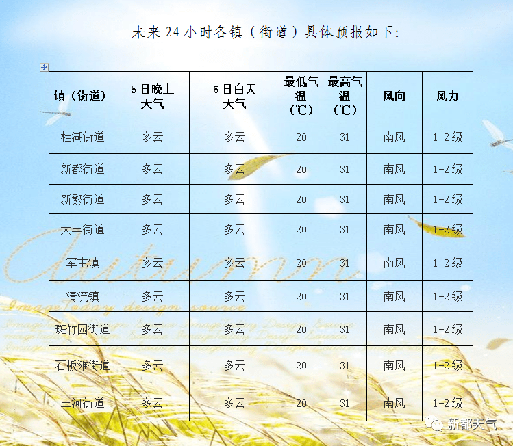 2025年2月10日 第27页