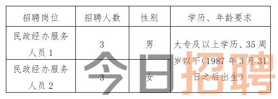 北阳乡最新招聘信息全面解析