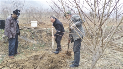 卧龙岗乡领导团队引领地方发展新篇章