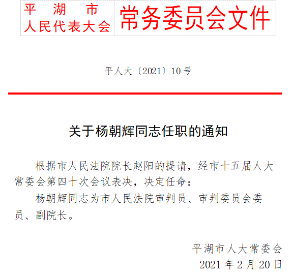 新达街道人事任命动态更新