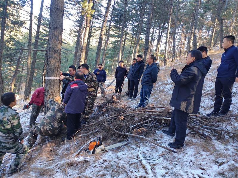 双鸭山林业局青龙林场交通最新动态